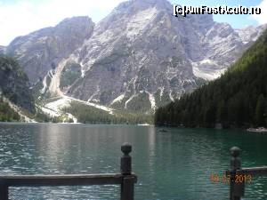 [P01]  -- <small>// FĂRĂ DESCRIERE</small> » foto by Alina Morar
 - 
<span class="allrVoted glyphicon glyphicon-heart hidden" id="av586096"></span>
<a class="m-l-10 hidden" id="sv586096" onclick="voting_Foto_DelVot(,586096,2211)" role="button">șterge vot <span class="glyphicon glyphicon-remove"></span></a>
<a id="v9586096" class=" c-red"  onclick="voting_Foto_SetVot(586096)" role="button"><span class="glyphicon glyphicon-heart-empty"></span> <b>LIKE</b> = Votează poza</a> <img class="hidden"  id="f586096W9" src="/imagini/loader.gif" border="0" /><span class="AjErrMes hidden" id="e586096ErM"></span>