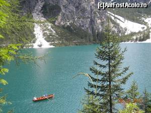 [P14]  -- <small>// FĂRĂ DESCRIERE</small> » foto by Alina Morar
 - 
<span class="allrVoted glyphicon glyphicon-heart hidden" id="av586112"></span>
<a class="m-l-10 hidden" id="sv586112" onclick="voting_Foto_DelVot(,586112,2211)" role="button">șterge vot <span class="glyphicon glyphicon-remove"></span></a>
<a id="v9586112" class=" c-red"  onclick="voting_Foto_SetVot(586112)" role="button"><span class="glyphicon glyphicon-heart-empty"></span> <b>LIKE</b> = Votează poza</a> <img class="hidden"  id="f586112W9" src="/imagini/loader.gif" border="0" /><span class="AjErrMes hidden" id="e586112ErM"></span>