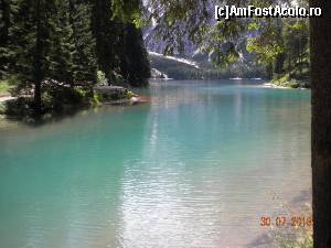 [P15]  -- <small>// FĂRĂ DESCRIERE</small> » foto by Alina Morar
 - 
<span class="allrVoted glyphicon glyphicon-heart hidden" id="av586113"></span>
<a class="m-l-10 hidden" id="sv586113" onclick="voting_Foto_DelVot(,586113,2211)" role="button">șterge vot <span class="glyphicon glyphicon-remove"></span></a>
<a id="v9586113" class=" c-red"  onclick="voting_Foto_SetVot(586113)" role="button"><span class="glyphicon glyphicon-heart-empty"></span> <b>LIKE</b> = Votează poza</a> <img class="hidden"  id="f586113W9" src="/imagini/loader.gif" border="0" /><span class="AjErrMes hidden" id="e586113ErM"></span>