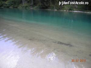 [P16]  -- <small>// FĂRĂ DESCRIERE</small> » foto by Alina Morar
 - 
<span class="allrVoted glyphicon glyphicon-heart hidden" id="av586115"></span>
<a class="m-l-10 hidden" id="sv586115" onclick="voting_Foto_DelVot(,586115,2211)" role="button">șterge vot <span class="glyphicon glyphicon-remove"></span></a>
<a id="v9586115" class=" c-red"  onclick="voting_Foto_SetVot(586115)" role="button"><span class="glyphicon glyphicon-heart-empty"></span> <b>LIKE</b> = Votează poza</a> <img class="hidden"  id="f586115W9" src="/imagini/loader.gif" border="0" /><span class="AjErrMes hidden" id="e586115ErM"></span>