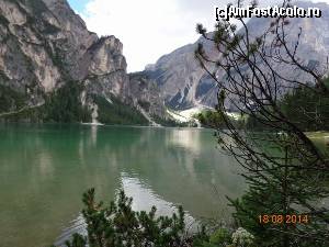 [P20]  -- <small>// FĂRĂ DESCRIERE</small> » foto by Alina Morar
 - 
<span class="allrVoted glyphicon glyphicon-heart hidden" id="av586125"></span>
<a class="m-l-10 hidden" id="sv586125" onclick="voting_Foto_DelVot(,586125,2211)" role="button">șterge vot <span class="glyphicon glyphicon-remove"></span></a>
<a id="v9586125" class=" c-red"  onclick="voting_Foto_SetVot(586125)" role="button"><span class="glyphicon glyphicon-heart-empty"></span> <b>LIKE</b> = Votează poza</a> <img class="hidden"  id="f586125W9" src="/imagini/loader.gif" border="0" /><span class="AjErrMes hidden" id="e586125ErM"></span>