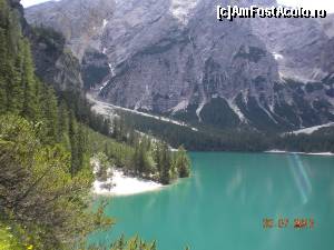 [P03]  -- <small>// FĂRĂ DESCRIERE</small> » foto by Alina Morar
 - 
<span class="allrVoted glyphicon glyphicon-heart hidden" id="av586098"></span>
<a class="m-l-10 hidden" id="sv586098" onclick="voting_Foto_DelVot(,586098,2211)" role="button">șterge vot <span class="glyphicon glyphicon-remove"></span></a>
<a id="v9586098" class=" c-red"  onclick="voting_Foto_SetVot(586098)" role="button"><span class="glyphicon glyphicon-heart-empty"></span> <b>LIKE</b> = Votează poza</a> <img class="hidden"  id="f586098W9" src="/imagini/loader.gif" border="0" /><span class="AjErrMes hidden" id="e586098ErM"></span>