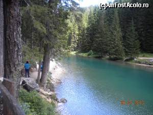 [P04]  -- <small>// FĂRĂ DESCRIERE</small> » foto by Alina Morar
 - 
<span class="allrVoted glyphicon glyphicon-heart hidden" id="av586099"></span>
<a class="m-l-10 hidden" id="sv586099" onclick="voting_Foto_DelVot(,586099,2211)" role="button">șterge vot <span class="glyphicon glyphicon-remove"></span></a>
<a id="v9586099" class=" c-red"  onclick="voting_Foto_SetVot(586099)" role="button"><span class="glyphicon glyphicon-heart-empty"></span> <b>LIKE</b> = Votează poza</a> <img class="hidden"  id="f586099W9" src="/imagini/loader.gif" border="0" /><span class="AjErrMes hidden" id="e586099ErM"></span>