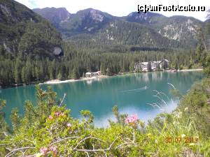 [P05]  -- <small>// FĂRĂ DESCRIERE</small> » foto by Alina Morar
 - 
<span class="allrVoted glyphicon glyphicon-heart hidden" id="av586100"></span>
<a class="m-l-10 hidden" id="sv586100" onclick="voting_Foto_DelVot(,586100,2211)" role="button">șterge vot <span class="glyphicon glyphicon-remove"></span></a>
<a id="v9586100" class=" c-red"  onclick="voting_Foto_SetVot(586100)" role="button"><span class="glyphicon glyphicon-heart-empty"></span> <b>LIKE</b> = Votează poza</a> <img class="hidden"  id="f586100W9" src="/imagini/loader.gif" border="0" /><span class="AjErrMes hidden" id="e586100ErM"></span>