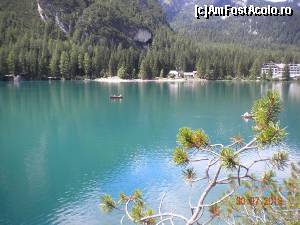 [P06]  -- <small>// FĂRĂ DESCRIERE</small> » foto by Alina Morar
 - 
<span class="allrVoted glyphicon glyphicon-heart hidden" id="av586101"></span>
<a class="m-l-10 hidden" id="sv586101" onclick="voting_Foto_DelVot(,586101,2211)" role="button">șterge vot <span class="glyphicon glyphicon-remove"></span></a>
<a id="v9586101" class=" c-red"  onclick="voting_Foto_SetVot(586101)" role="button"><span class="glyphicon glyphicon-heart-empty"></span> <b>LIKE</b> = Votează poza</a> <img class="hidden"  id="f586101W9" src="/imagini/loader.gif" border="0" /><span class="AjErrMes hidden" id="e586101ErM"></span>