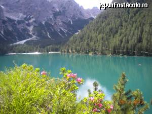 [P07]  -- <small>// FĂRĂ DESCRIERE</small> » foto by Alina Morar
 - 
<span class="allrVoted glyphicon glyphicon-heart hidden" id="av586103"></span>
<a class="m-l-10 hidden" id="sv586103" onclick="voting_Foto_DelVot(,586103,2211)" role="button">șterge vot <span class="glyphicon glyphicon-remove"></span></a>
<a id="v9586103" class=" c-red"  onclick="voting_Foto_SetVot(586103)" role="button"><span class="glyphicon glyphicon-heart-empty"></span> <b>LIKE</b> = Votează poza</a> <img class="hidden"  id="f586103W9" src="/imagini/loader.gif" border="0" /><span class="AjErrMes hidden" id="e586103ErM"></span>