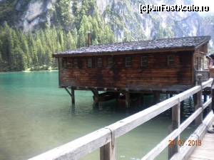 [P08]  -- <small>// FĂRĂ DESCRIERE</small> » foto by Alina Morar
 - 
<span class="allrVoted glyphicon glyphicon-heart hidden" id="av586104"></span>
<a class="m-l-10 hidden" id="sv586104" onclick="voting_Foto_DelVot(,586104,2211)" role="button">șterge vot <span class="glyphicon glyphicon-remove"></span></a>
<a id="v9586104" class=" c-red"  onclick="voting_Foto_SetVot(586104)" role="button"><span class="glyphicon glyphicon-heart-empty"></span> <b>LIKE</b> = Votează poza</a> <img class="hidden"  id="f586104W9" src="/imagini/loader.gif" border="0" /><span class="AjErrMes hidden" id="e586104ErM"></span>