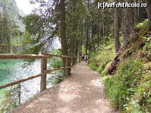 [P10]  -- <small>// FĂRĂ DESCRIERE</small> » foto by claudiu 71
 - 
<span class="allrVoted glyphicon glyphicon-heart hidden" id="av676310"></span>
<a class="m-l-10 hidden" id="sv676310" onclick="voting_Foto_DelVot(,676310,2211)" role="button">șterge vot <span class="glyphicon glyphicon-remove"></span></a>
<a id="v9676310" class=" c-red"  onclick="voting_Foto_SetVot(676310)" role="button"><span class="glyphicon glyphicon-heart-empty"></span> <b>LIKE</b> = Votează poza</a> <img class="hidden"  id="f676310W9" src="/imagini/loader.gif" border="0" /><span class="AjErrMes hidden" id="e676310ErM"></span>