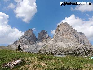 [P14]  -- <small>// FĂRĂ DESCRIERE</small> » foto by claudiu 71
 - 
<span class="allrVoted glyphicon glyphicon-heart hidden" id="av676317"></span>
<a class="m-l-10 hidden" id="sv676317" onclick="voting_Foto_DelVot(,676317,2211)" role="button">șterge vot <span class="glyphicon glyphicon-remove"></span></a>
<a id="v9676317" class=" c-red"  onclick="voting_Foto_SetVot(676317)" role="button"><span class="glyphicon glyphicon-heart-empty"></span> <b>LIKE</b> = Votează poza</a> <img class="hidden"  id="f676317W9" src="/imagini/loader.gif" border="0" /><span class="AjErrMes hidden" id="e676317ErM"></span>