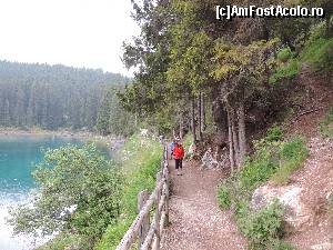 [P16]  -- <small>// FĂRĂ DESCRIERE</small> » foto by claudiu 71
 - 
<span class="allrVoted glyphicon glyphicon-heart hidden" id="av676325"></span>
<a class="m-l-10 hidden" id="sv676325" onclick="voting_Foto_DelVot(,676325,2211)" role="button">șterge vot <span class="glyphicon glyphicon-remove"></span></a>
<a id="v9676325" class=" c-red"  onclick="voting_Foto_SetVot(676325)" role="button"><span class="glyphicon glyphicon-heart-empty"></span> <b>LIKE</b> = Votează poza</a> <img class="hidden"  id="f676325W9" src="/imagini/loader.gif" border="0" /><span class="AjErrMes hidden" id="e676325ErM"></span>