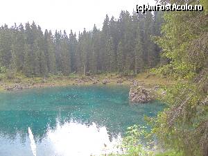 [P18]  -- <small>// FĂRĂ DESCRIERE</small> » foto by claudiu 71
 - 
<span class="allrVoted glyphicon glyphicon-heart hidden" id="av676330"></span>
<a class="m-l-10 hidden" id="sv676330" onclick="voting_Foto_DelVot(,676330,2211)" role="button">șterge vot <span class="glyphicon glyphicon-remove"></span></a>
<a id="v9676330" class=" c-red"  onclick="voting_Foto_SetVot(676330)" role="button"><span class="glyphicon glyphicon-heart-empty"></span> <b>LIKE</b> = Votează poza</a> <img class="hidden"  id="f676330W9" src="/imagini/loader.gif" border="0" /><span class="AjErrMes hidden" id="e676330ErM"></span>