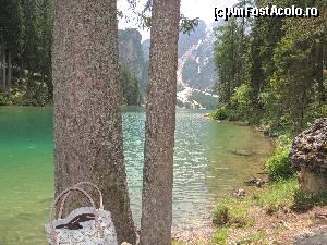 [P02]  -- <small>// FĂRĂ DESCRIERE</small> » foto by claudiu 71
 - 
<span class="allrVoted glyphicon glyphicon-heart hidden" id="av676279"></span>
<a class="m-l-10 hidden" id="sv676279" onclick="voting_Foto_DelVot(,676279,2211)" role="button">șterge vot <span class="glyphicon glyphicon-remove"></span></a>
<a id="v9676279" class=" c-red"  onclick="voting_Foto_SetVot(676279)" role="button"><span class="glyphicon glyphicon-heart-empty"></span> <b>LIKE</b> = Votează poza</a> <img class="hidden"  id="f676279W9" src="/imagini/loader.gif" border="0" /><span class="AjErrMes hidden" id="e676279ErM"></span>