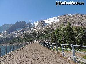 [P26]  -- <small>// FĂRĂ DESCRIERE</small> » foto by claudiu 71
 - 
<span class="allrVoted glyphicon glyphicon-heart hidden" id="av676343"></span>
<a class="m-l-10 hidden" id="sv676343" onclick="voting_Foto_DelVot(,676343,2211)" role="button">șterge vot <span class="glyphicon glyphicon-remove"></span></a>
<a id="v9676343" class=" c-red"  onclick="voting_Foto_SetVot(676343)" role="button"><span class="glyphicon glyphicon-heart-empty"></span> <b>LIKE</b> = Votează poza</a> <img class="hidden"  id="f676343W9" src="/imagini/loader.gif" border="0" /><span class="AjErrMes hidden" id="e676343ErM"></span>