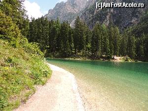 [P05]  -- <small>// FĂRĂ DESCRIERE</small> » foto by claudiu 71
 - 
<span class="allrVoted glyphicon glyphicon-heart hidden" id="av676298"></span>
<a class="m-l-10 hidden" id="sv676298" onclick="voting_Foto_DelVot(,676298,2211)" role="button">șterge vot <span class="glyphicon glyphicon-remove"></span></a>
<a id="v9676298" class=" c-red"  onclick="voting_Foto_SetVot(676298)" role="button"><span class="glyphicon glyphicon-heart-empty"></span> <b>LIKE</b> = Votează poza</a> <img class="hidden"  id="f676298W9" src="/imagini/loader.gif" border="0" /><span class="AjErrMes hidden" id="e676298ErM"></span>