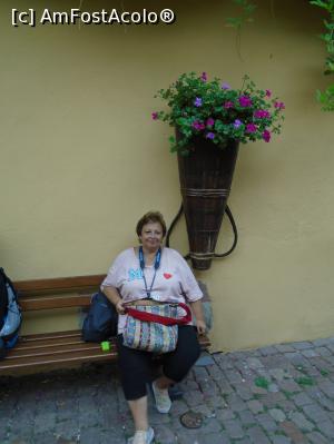 [P35] Popas...  » foto by Carmen Ion
 - 
<span class="allrVoted glyphicon glyphicon-heart hidden" id="av1128133"></span>
<a class="m-l-10 hidden" id="sv1128133" onclick="voting_Foto_DelVot(,1128133,2237)" role="button">șterge vot <span class="glyphicon glyphicon-remove"></span></a>
<a id="v91128133" class=" c-red"  onclick="voting_Foto_SetVot(1128133)" role="button"><span class="glyphicon glyphicon-heart-empty"></span> <b>LIKE</b> = Votează poza</a> <img class="hidden"  id="f1128133W9" src="/imagini/loader.gif" border="0" /><span class="AjErrMes hidden" id="e1128133ErM"></span>