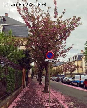 [P02]  -- <small>// FĂRĂ DESCRIERE</small> » foto by RAlexandra
 - 
<span class="allrVoted glyphicon glyphicon-heart hidden" id="av978127"></span>
<a class="m-l-10 hidden" id="sv978127" onclick="voting_Foto_DelVot(,978127,2237)" role="button">șterge vot <span class="glyphicon glyphicon-remove"></span></a>
<a id="v9978127" class=" c-red"  onclick="voting_Foto_SetVot(978127)" role="button"><span class="glyphicon glyphicon-heart-empty"></span> <b>LIKE</b> = Votează poza</a> <img class="hidden"  id="f978127W9" src="/imagini/loader.gif" border="0" /><span class="AjErrMes hidden" id="e978127ErM"></span>