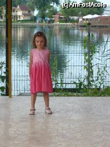 [P02]  -- <small>// FĂRĂ DESCRIERE</small> » foto by candaanca*
 - 
<span class="allrVoted glyphicon glyphicon-heart hidden" id="av334380"></span>
<a class="m-l-10 hidden" id="sv334380" onclick="voting_Foto_DelVot(,334380,2246)" role="button">șterge vot <span class="glyphicon glyphicon-remove"></span></a>
<a id="v9334380" class=" c-red"  onclick="voting_Foto_SetVot(334380)" role="button"><span class="glyphicon glyphicon-heart-empty"></span> <b>LIKE</b> = Votează poza</a> <img class="hidden"  id="f334380W9" src="/imagini/loader.gif" border="0" /><span class="AjErrMes hidden" id="e334380ErM"></span>