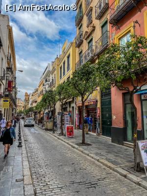 [P01]  -- <small>// FĂRĂ DESCRIERE</small> » foto by viorelgeorgescu
 - 
<span class="allrVoted glyphicon glyphicon-heart hidden" id="av1151195"></span>
<a class="m-l-10 hidden" id="sv1151195" onclick="voting_Foto_DelVot(,1151195,2251)" role="button">șterge vot <span class="glyphicon glyphicon-remove"></span></a>
<a id="v91151195" class=" c-red"  onclick="voting_Foto_SetVot(1151195)" role="button"><span class="glyphicon glyphicon-heart-empty"></span> <b>LIKE</b> = Votează poza</a> <img class="hidden"  id="f1151195W9" src="/imagini/loader.gif" border="0" /><span class="AjErrMes hidden" id="e1151195ErM"></span>