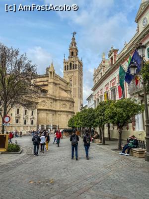 [P11]  -- <small>// FĂRĂ DESCRIERE</small> » foto by viorelgeorgescu
 - 
<span class="allrVoted glyphicon glyphicon-heart hidden" id="av1151205"></span>
<a class="m-l-10 hidden" id="sv1151205" onclick="voting_Foto_DelVot(,1151205,2251)" role="button">șterge vot <span class="glyphicon glyphicon-remove"></span></a>
<a id="v91151205" class=" c-red"  onclick="voting_Foto_SetVot(1151205)" role="button"><span class="glyphicon glyphicon-heart-empty"></span> <b>LIKE</b> = Votează poza</a> <img class="hidden"  id="f1151205W9" src="/imagini/loader.gif" border="0" /><span class="AjErrMes hidden" id="e1151205ErM"></span>