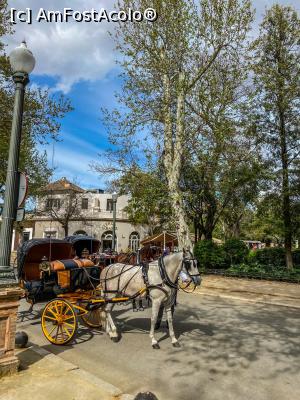 [P12]  -- <small>// FĂRĂ DESCRIERE</small> » foto by viorelgeorgescu
 - 
<span class="allrVoted glyphicon glyphicon-heart hidden" id="av1151206"></span>
<a class="m-l-10 hidden" id="sv1151206" onclick="voting_Foto_DelVot(,1151206,2251)" role="button">șterge vot <span class="glyphicon glyphicon-remove"></span></a>
<a id="v91151206" class=" c-red"  onclick="voting_Foto_SetVot(1151206)" role="button"><span class="glyphicon glyphicon-heart-empty"></span> <b>LIKE</b> = Votează poza</a> <img class="hidden"  id="f1151206W9" src="/imagini/loader.gif" border="0" /><span class="AjErrMes hidden" id="e1151206ErM"></span>