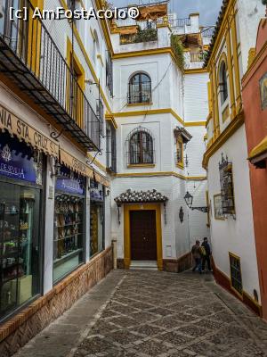 [P03]  -- <small>// FĂRĂ DESCRIERE</small> » foto by viorelgeorgescu <span class="label label-default labelC_thin small">NEVOTABILĂ</span>