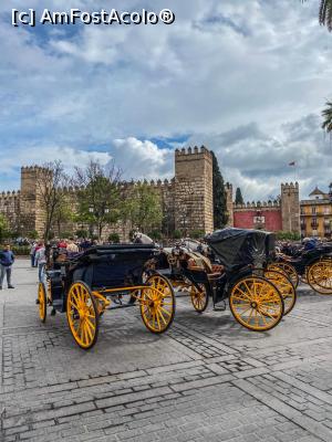 [P36]  -- <small>// FĂRĂ DESCRIERE</small> » foto by viorelgeorgescu
 - 
<span class="allrVoted glyphicon glyphicon-heart hidden" id="av1151230"></span>
<a class="m-l-10 hidden" id="sv1151230" onclick="voting_Foto_DelVot(,1151230,2251)" role="button">șterge vot <span class="glyphicon glyphicon-remove"></span></a>
<a id="v91151230" class=" c-red"  onclick="voting_Foto_SetVot(1151230)" role="button"><span class="glyphicon glyphicon-heart-empty"></span> <b>LIKE</b> = Votează poza</a> <img class="hidden"  id="f1151230W9" src="/imagini/loader.gif" border="0" /><span class="AjErrMes hidden" id="e1151230ErM"></span>