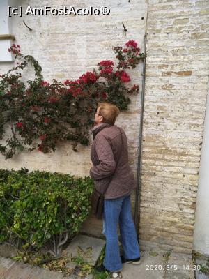 [P37]  -- <small>// FĂRĂ DESCRIERE</small> » foto by viorelgeorgescu <span class="label label-default labelC_thin small">NEVOTABILĂ</span>