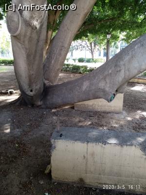 [P38]  -- <small>// FĂRĂ DESCRIERE</small> » foto by viorelgeorgescu
 - 
<span class="allrVoted glyphicon glyphicon-heart hidden" id="av1151232"></span>
<a class="m-l-10 hidden" id="sv1151232" onclick="voting_Foto_DelVot(,1151232,2251)" role="button">șterge vot <span class="glyphicon glyphicon-remove"></span></a>
<a id="v91151232" class=" c-red"  onclick="voting_Foto_SetVot(1151232)" role="button"><span class="glyphicon glyphicon-heart-empty"></span> <b>LIKE</b> = Votează poza</a> <img class="hidden"  id="f1151232W9" src="/imagini/loader.gif" border="0" /><span class="AjErrMes hidden" id="e1151232ErM"></span>