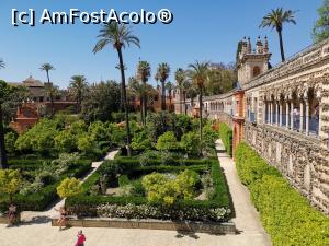 [P45] Grădinile Palatului Alcazar.  » foto by Aurici
 - 
<span class="allrVoted glyphicon glyphicon-heart hidden" id="av1093200"></span>
<a class="m-l-10 hidden" id="sv1093200" onclick="voting_Foto_DelVot(,1093200,2251)" role="button">șterge vot <span class="glyphicon glyphicon-remove"></span></a>
<a id="v91093200" class=" c-red"  onclick="voting_Foto_SetVot(1093200)" role="button"><span class="glyphicon glyphicon-heart-empty"></span> <b>LIKE</b> = Votează poza</a> <img class="hidden"  id="f1093200W9" src="/imagini/loader.gif" border="0" /><span class="AjErrMes hidden" id="e1093200ErM"></span>