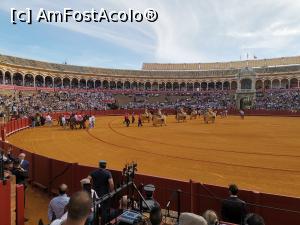 [P51] Spectacol de coridă la Plaza de Toros de Maestranza din Sevilia.  » foto by Aurici
 - 
<span class="allrVoted glyphicon glyphicon-heart hidden" id="av1093208"></span>
<a class="m-l-10 hidden" id="sv1093208" onclick="voting_Foto_DelVot(,1093208,2251)" role="button">șterge vot <span class="glyphicon glyphicon-remove"></span></a>
<a id="v91093208" class=" c-red"  onclick="voting_Foto_SetVot(1093208)" role="button"><span class="glyphicon glyphicon-heart-empty"></span> <b>LIKE</b> = Votează poza</a> <img class="hidden"  id="f1093208W9" src="/imagini/loader.gif" border="0" /><span class="AjErrMes hidden" id="e1093208ErM"></span>