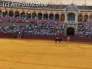 [P54] Spectacol de coridă la Plaza de Toros de Maestranza din Sevilia.  » foto by Aurici
 - 
<span class="allrVoted glyphicon glyphicon-heart hidden" id="av1093212"></span>
<a class="m-l-10 hidden" id="sv1093212" onclick="voting_Foto_DelVot(,1093212,2251)" role="button">șterge vot <span class="glyphicon glyphicon-remove"></span></a>
<a id="v91093212" class=" c-red"  onclick="voting_Foto_SetVot(1093212)" role="button"><span class="glyphicon glyphicon-heart-empty"></span> <b>LIKE</b> = Votează poza</a> <img class="hidden"  id="f1093212W9" src="/imagini/loader.gif" border="0" /><span class="AjErrMes hidden" id="e1093212ErM"></span>