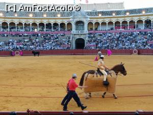 [P56] Spectacol de coridă la Plaza de Toros de Maestranza din Sevilia. Picadorii.  » foto by Aurici
 - 
<span class="allrVoted glyphicon glyphicon-heart hidden" id="av1093214"></span>
<a class="m-l-10 hidden" id="sv1093214" onclick="voting_Foto_DelVot(,1093214,2251)" role="button">șterge vot <span class="glyphicon glyphicon-remove"></span></a>
<a id="v91093214" class=" c-red"  onclick="voting_Foto_SetVot(1093214)" role="button"><span class="glyphicon glyphicon-heart-empty"></span> <b>LIKE</b> = Votează poza</a> <img class="hidden"  id="f1093214W9" src="/imagini/loader.gif" border="0" /><span class="AjErrMes hidden" id="e1093214ErM"></span>