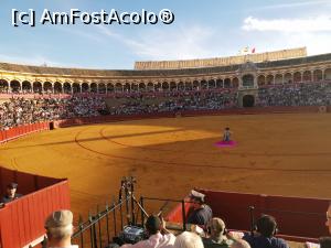 [P57] Spectacol de coridă la Plaza de Toros de Maestranza din Sevilia. Toreador, în așteptarea taurului.  » foto by Aurici
 - 
<span class="allrVoted glyphicon glyphicon-heart hidden" id="av1093218"></span>
<a class="m-l-10 hidden" id="sv1093218" onclick="voting_Foto_DelVot(,1093218,2251)" role="button">șterge vot <span class="glyphicon glyphicon-remove"></span></a>
<a id="v91093218" class=" c-red"  onclick="voting_Foto_SetVot(1093218)" role="button"><span class="glyphicon glyphicon-heart-empty"></span> <b>LIKE</b> = Votează poza</a> <img class="hidden"  id="f1093218W9" src="/imagini/loader.gif" border="0" /><span class="AjErrMes hidden" id="e1093218ErM"></span>