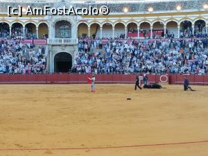 [P58] Spectacol de coridă la Plaza de Toros de Maestranza din Sevilia. Taurul este răpus.  » foto by Aurici
 - 
<span class="allrVoted glyphicon glyphicon-heart hidden" id="av1093219"></span>
<a class="m-l-10 hidden" id="sv1093219" onclick="voting_Foto_DelVot(,1093219,2251)" role="button">șterge vot <span class="glyphicon glyphicon-remove"></span></a>
<a id="v91093219" class=" c-red"  onclick="voting_Foto_SetVot(1093219)" role="button"><span class="glyphicon glyphicon-heart-empty"></span> <b>LIKE</b> = Votează poza</a> <img class="hidden"  id="f1093219W9" src="/imagini/loader.gif" border="0" /><span class="AjErrMes hidden" id="e1093219ErM"></span>