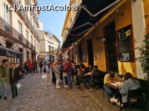 [P10] Pe străzile din centrul istoric al Sevillei » foto by Marius 72
 - 
<span class="allrVoted glyphicon glyphicon-heart hidden" id="av1282207"></span>
<a class="m-l-10 hidden" id="sv1282207" onclick="voting_Foto_DelVot(,1282207,2251)" role="button">șterge vot <span class="glyphicon glyphicon-remove"></span></a>
<a id="v91282207" class=" c-red"  onclick="voting_Foto_SetVot(1282207)" role="button"><span class="glyphicon glyphicon-heart-empty"></span> <b>LIKE</b> = Votează poza</a> <img class="hidden"  id="f1282207W9" src="/imagini/loader.gif" border="0" /><span class="AjErrMes hidden" id="e1282207ErM"></span>