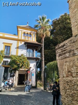 [P03] Balconul Rosinei » foto by Marius 72
 - 
<span class="allrVoted glyphicon glyphicon-heart hidden" id="av1282200"></span>
<a class="m-l-10 hidden" id="sv1282200" onclick="voting_Foto_DelVot(,1282200,2251)" role="button">șterge vot <span class="glyphicon glyphicon-remove"></span></a>
<a id="v91282200" class=" c-red"  onclick="voting_Foto_SetVot(1282200)" role="button"><span class="glyphicon glyphicon-heart-empty"></span> <b>LIKE</b> = Votează poza</a> <img class="hidden"  id="f1282200W9" src="/imagini/loader.gif" border="0" /><span class="AjErrMes hidden" id="e1282200ErM"></span>