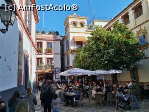 [P04] Cartierul Triana » foto by Marius 72
 - 
<span class="allrVoted glyphicon glyphicon-heart hidden" id="av1282201"></span>
<a class="m-l-10 hidden" id="sv1282201" onclick="voting_Foto_DelVot(,1282201,2251)" role="button">șterge vot <span class="glyphicon glyphicon-remove"></span></a>
<a id="v91282201" class=" c-red"  onclick="voting_Foto_SetVot(1282201)" role="button"><span class="glyphicon glyphicon-heart-empty"></span> <b>LIKE</b> = Votează poza</a> <img class="hidden"  id="f1282201W9" src="/imagini/loader.gif" border="0" /><span class="AjErrMes hidden" id="e1282201ErM"></span>