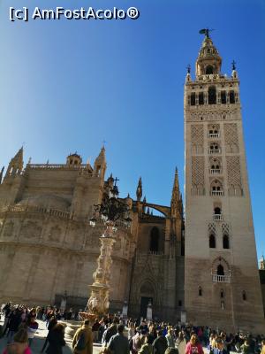 [P09] Catedrala din Sevilla » foto by Marius 72
 - 
<span class="allrVoted glyphicon glyphicon-heart hidden" id="av1282206"></span>
<a class="m-l-10 hidden" id="sv1282206" onclick="voting_Foto_DelVot(,1282206,2251)" role="button">șterge vot <span class="glyphicon glyphicon-remove"></span></a>
<a id="v91282206" class=" c-red"  onclick="voting_Foto_SetVot(1282206)" role="button"><span class="glyphicon glyphicon-heart-empty"></span> <b>LIKE</b> = Votează poza</a> <img class="hidden"  id="f1282206W9" src="/imagini/loader.gif" border="0" /><span class="AjErrMes hidden" id="e1282206ErM"></span>