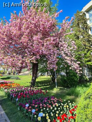 [P17] Din gardina botanica » foto by DOINITA
 - 
<span class="allrVoted glyphicon glyphicon-heart hidden" id="av1400907"></span>
<a class="m-l-10 hidden" id="sv1400907" onclick="voting_Foto_DelVot(,1400907,2291)" role="button">șterge vot <span class="glyphicon glyphicon-remove"></span></a>
<a id="v91400907" class=" c-red"  onclick="voting_Foto_SetVot(1400907)" role="button"><span class="glyphicon glyphicon-heart-empty"></span> <b>LIKE</b> = Votează poza</a> <img class="hidden"  id="f1400907W9" src="/imagini/loader.gif" border="0" /><span class="AjErrMes hidden" id="e1400907ErM"></span>