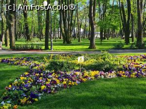 [P21] Parcul Copou in culori de primavara » foto by DOINITA
 - 
<span class="allrVoted glyphicon glyphicon-heart hidden" id="av1400911"></span>
<a class="m-l-10 hidden" id="sv1400911" onclick="voting_Foto_DelVot(,1400911,2291)" role="button">șterge vot <span class="glyphicon glyphicon-remove"></span></a>
<a id="v91400911" class=" c-red"  onclick="voting_Foto_SetVot(1400911)" role="button"><span class="glyphicon glyphicon-heart-empty"></span> <b>LIKE</b> = Votează poza</a> <img class="hidden"  id="f1400911W9" src="/imagini/loader.gif" border="0" /><span class="AjErrMes hidden" id="e1400911ErM"></span>