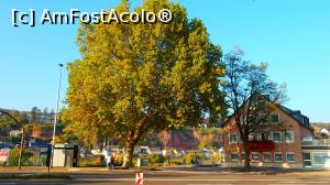 [P05] Trier - lângă podul Kaiser Wilhelm » foto by Dragoș_MD
 - 
<span class="allrVoted glyphicon glyphicon-heart hidden" id="av1024237"></span>
<a class="m-l-10 hidden" id="sv1024237" onclick="voting_Foto_DelVot(,1024237,2302)" role="button">șterge vot <span class="glyphicon glyphicon-remove"></span></a>
<a id="v91024237" class=" c-red"  onclick="voting_Foto_SetVot(1024237)" role="button"><span class="glyphicon glyphicon-heart-empty"></span> <b>LIKE</b> = Votează poza</a> <img class="hidden"  id="f1024237W9" src="/imagini/loader.gif" border="0" /><span class="AjErrMes hidden" id="e1024237ErM"></span>