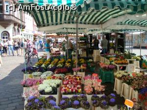 [P20] Flori in Piata Haptmarkt » foto by mireille
 - 
<span class="allrVoted glyphicon glyphicon-heart hidden" id="av713297"></span>
<a class="m-l-10 hidden" id="sv713297" onclick="voting_Foto_DelVot(,713297,2302)" role="button">șterge vot <span class="glyphicon glyphicon-remove"></span></a>
<a id="v9713297" class=" c-red"  onclick="voting_Foto_SetVot(713297)" role="button"><span class="glyphicon glyphicon-heart-empty"></span> <b>LIKE</b> = Votează poza</a> <img class="hidden"  id="f713297W9" src="/imagini/loader.gif" border="0" /><span class="AjErrMes hidden" id="e713297ErM"></span>