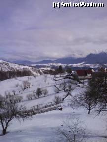 [P01] Sat Pestera- februarie 2010 » foto by Irina Flegheru
 - 
<span class="allrVoted glyphicon glyphicon-heart hidden" id="av48711"></span>
<a class="m-l-10 hidden" id="sv48711" onclick="voting_Foto_DelVot(,48711,2305)" role="button">șterge vot <span class="glyphicon glyphicon-remove"></span></a>
<a id="v948711" class=" c-red"  onclick="voting_Foto_SetVot(48711)" role="button"><span class="glyphicon glyphicon-heart-empty"></span> <b>LIKE</b> = Votează poza</a> <img class="hidden"  id="f48711W9" src="/imagini/loader.gif" border="0" /><span class="AjErrMes hidden" id="e48711ErM"></span>