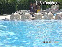 [P23] din piscina principala pentru adulti » foto by rodica_b
 - 
<span class="allrVoted glyphicon glyphicon-heart hidden" id="av259304"></span>
<a class="m-l-10 hidden" id="sv259304" onclick="voting_Foto_DelVot(,259304,2310)" role="button">șterge vot <span class="glyphicon glyphicon-remove"></span></a>
<a id="v9259304" class=" c-red"  onclick="voting_Foto_SetVot(259304)" role="button"><span class="glyphicon glyphicon-heart-empty"></span> <b>LIKE</b> = Votează poza</a> <img class="hidden"  id="f259304W9" src="/imagini/loader.gif" border="0" /><span class="AjErrMes hidden" id="e259304ErM"></span>