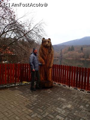 [P17] Sovata, Lacul Ursu » foto by Dragoș_MD
 - 
<span class="allrVoted glyphicon glyphicon-heart hidden" id="av1342908"></span>
<a class="m-l-10 hidden" id="sv1342908" onclick="voting_Foto_DelVot(,1342908,2341)" role="button">șterge vot <span class="glyphicon glyphicon-remove"></span></a>
<a id="v91342908" class=" c-red"  onclick="voting_Foto_SetVot(1342908)" role="button"><span class="glyphicon glyphicon-heart-empty"></span> <b>LIKE</b> = Votează poza</a> <img class="hidden"  id="f1342908W9" src="/imagini/loader.gif" border="0" /><span class="AjErrMes hidden" id="e1342908ErM"></span>