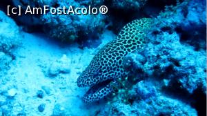 [P02] Marble morena » foto by mihai-
 - 
<span class="allrVoted glyphicon glyphicon-heart hidden" id="av717398"></span>
<a class="m-l-10 hidden" id="sv717398" onclick="voting_Foto_DelVot(,717398,2393)" role="button">șterge vot <span class="glyphicon glyphicon-remove"></span></a>
<a id="v9717398" class=" c-red"  onclick="voting_Foto_SetVot(717398)" role="button"><span class="glyphicon glyphicon-heart-empty"></span> <b>LIKE</b> = Votează poza</a> <img class="hidden"  id="f717398W9" src="/imagini/loader.gif" border="0" /><span class="AjErrMes hidden" id="e717398ErM"></span>