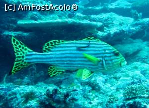 [P07] SWEET LEEPS » foto by mihai-
 - 
<span class="allrVoted glyphicon glyphicon-heart hidden" id="av717403"></span>
<a class="m-l-10 hidden" id="sv717403" onclick="voting_Foto_DelVot(,717403,2393)" role="button">șterge vot <span class="glyphicon glyphicon-remove"></span></a>
<a id="v9717403" class=" c-red"  onclick="voting_Foto_SetVot(717403)" role="button"><span class="glyphicon glyphicon-heart-empty"></span> <b>LIKE</b> = Votează poza</a> <img class="hidden"  id="f717403W9" src="/imagini/loader.gif" border="0" /><span class="AjErrMes hidden" id="e717403ErM"></span>