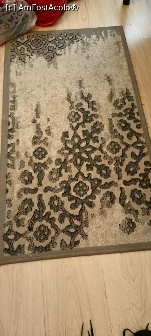 [P09] imputitul covor » foto by Eta Nicolette
 - 
<span class="allrVoted glyphicon glyphicon-heart hidden" id="av1498314"></span>
<a class="m-l-10 hidden" id="sv1498314" onclick="voting_Foto_DelVot(,1498314,2429)" role="button">șterge vot <span class="glyphicon glyphicon-remove"></span></a>
<a id="v91498314" class=" c-red"  onclick="voting_Foto_SetVot(1498314)" role="button"><span class="glyphicon glyphicon-heart-empty"></span> <b>LIKE</b> = Votează poza</a> <img class="hidden"  id="f1498314W9" src="/imagini/loader.gif" border="0" /><span class="AjErrMes hidden" id="e1498314ErM"></span>