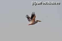 [P19]  -- <small>// FĂRĂ DESCRIERE</small> » foto by puerto rico
 - 
<span class="allrVoted glyphicon glyphicon-heart hidden" id="av104829"></span>
<a class="m-l-10 hidden" id="sv104829" onclick="voting_Foto_DelVot(,104829,2439)" role="button">șterge vot <span class="glyphicon glyphicon-remove"></span></a>
<a id="v9104829" class=" c-red"  onclick="voting_Foto_SetVot(104829)" role="button"><span class="glyphicon glyphicon-heart-empty"></span> <b>LIKE</b> = Votează poza</a> <img class="hidden"  id="f104829W9" src="/imagini/loader.gif" border="0" /><span class="AjErrMes hidden" id="e104829ErM"></span>