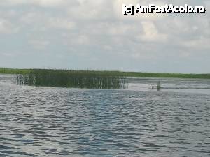 [P08] Lacul Melea » foto by gabid
 - 
<span class="allrVoted glyphicon glyphicon-heart hidden" id="av431852"></span>
<a class="m-l-10 hidden" id="sv431852" onclick="voting_Foto_DelVot(,431852,2439)" role="button">șterge vot <span class="glyphicon glyphicon-remove"></span></a>
<a id="v9431852" class=" c-red"  onclick="voting_Foto_SetVot(431852)" role="button"><span class="glyphicon glyphicon-heart-empty"></span> <b>LIKE</b> = Votează poza</a> <img class="hidden"  id="f431852W9" src="/imagini/loader.gif" border="0" /><span class="AjErrMes hidden" id="e431852ErM"></span>